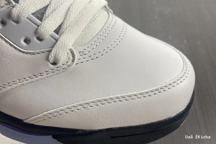 DD0587-141 Fashionable CONCORD Air Jordan5 587 0730